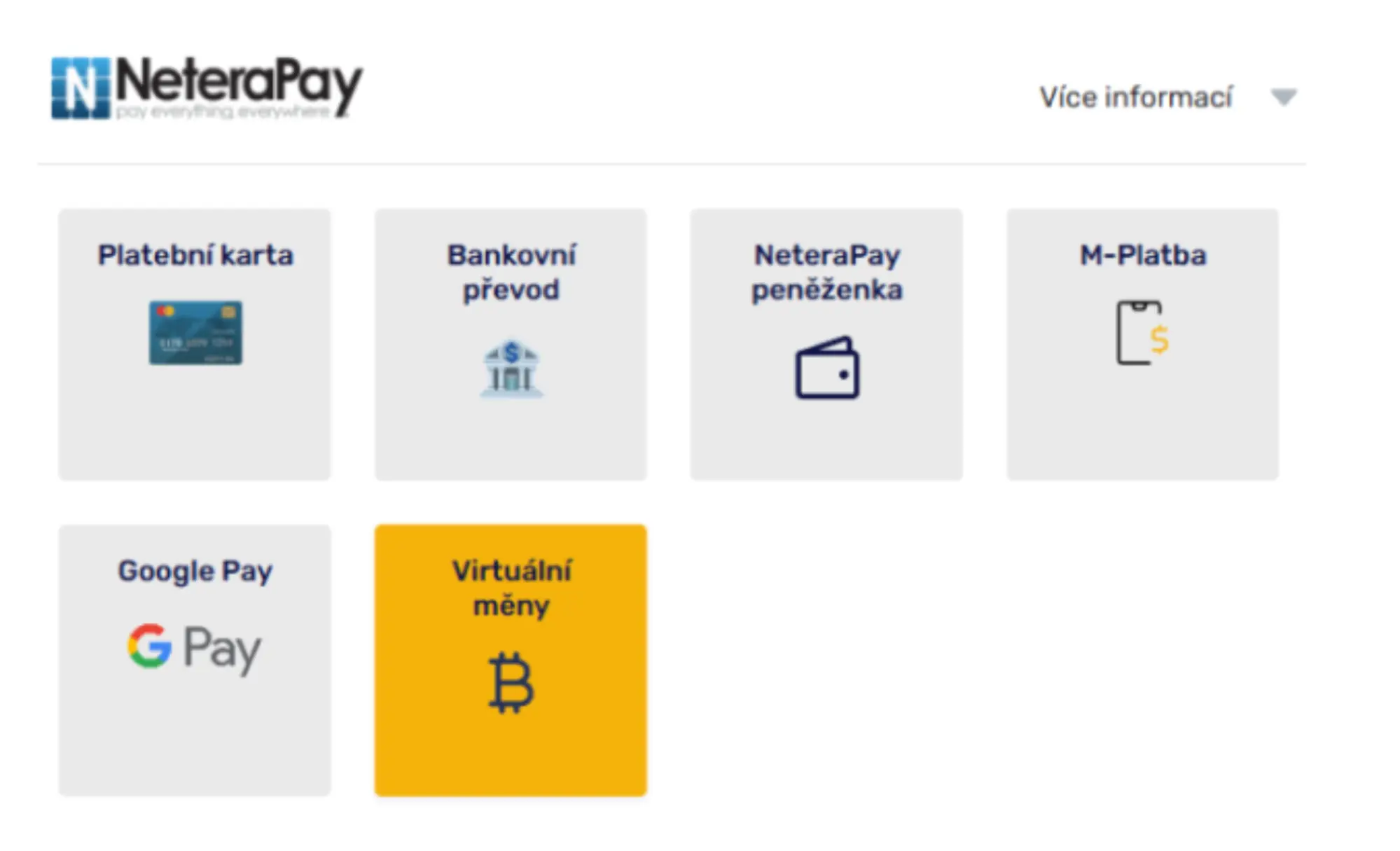 NeteraPay — způsoby platby (karta, převod, peněženka, M-Platba, Google Pay, virtuální měny). Rozhraní NeteraPay s výběrem způsobů platby: Platební karta, Bankovní převod, NeteraPay peněženka, M-Platba, Google Pay a Virtuální měny.
